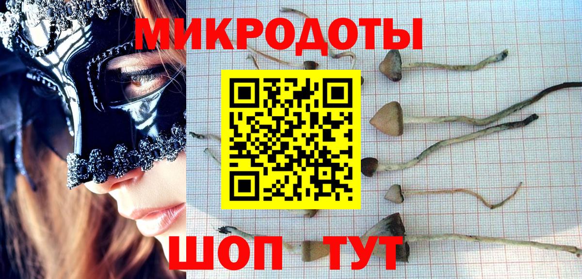 где найти   Псилоцибиновые грибы MAGIC MUSHROOMS  Волгоград  Вход с VPN  Псилоцибиновые грибы GOLDEN TEACHER 