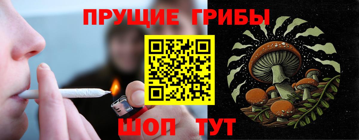 Псилоцибиновые грибы мухоморы Волгоград